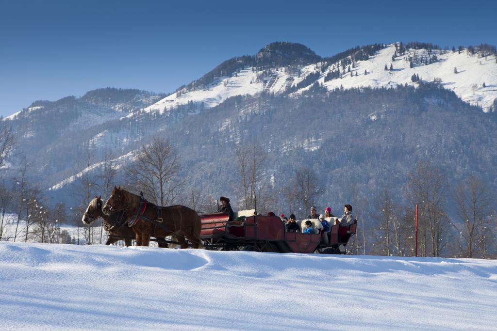 Bergheim Komfort Ferienwohnungen Walchsee Extérieur photo