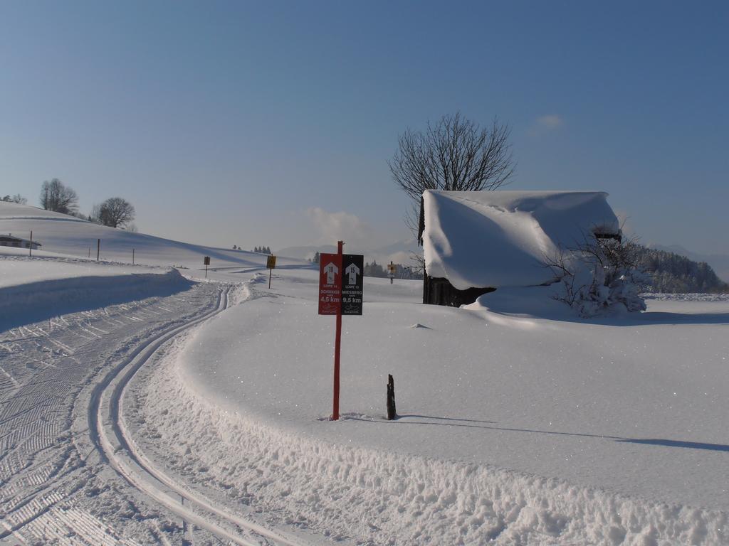 Bergheim Komfort Ferienwohnungen Walchsee Extérieur photo