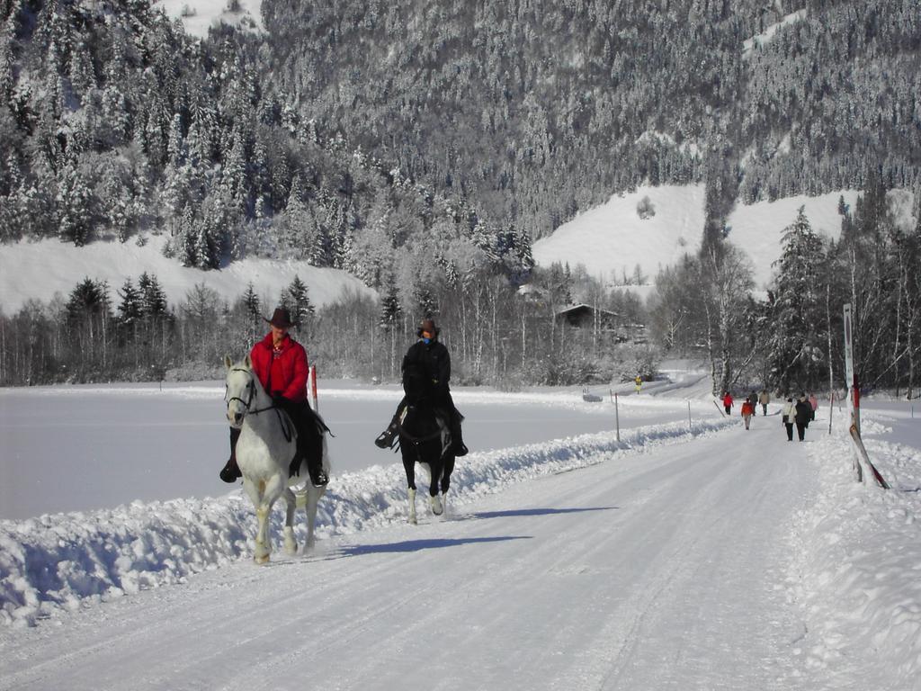 Bergheim Komfort Ferienwohnungen Walchsee Extérieur photo