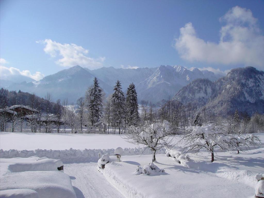 Bergheim Komfort Ferienwohnungen Walchsee Extérieur photo